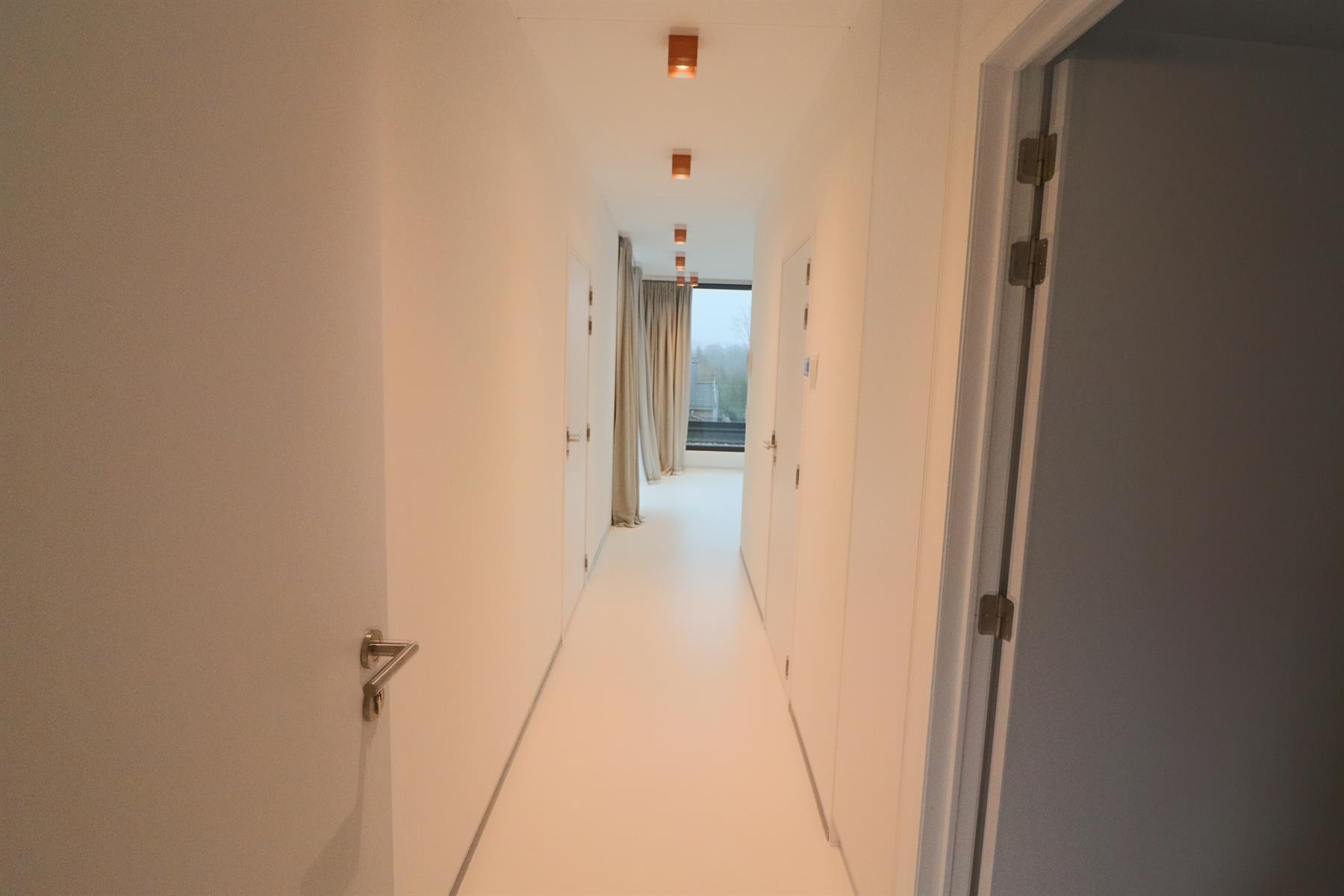 Apartment for rent in Lubbeek with 2 bedrooms - photo 4