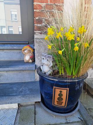 Instapklare, goed onderhouden en lichtrijke woning op een gunstige ligging te 2020 Antwerpen.Omschrijving : Nette voortuin van 15 m². Ruime inkomhal...