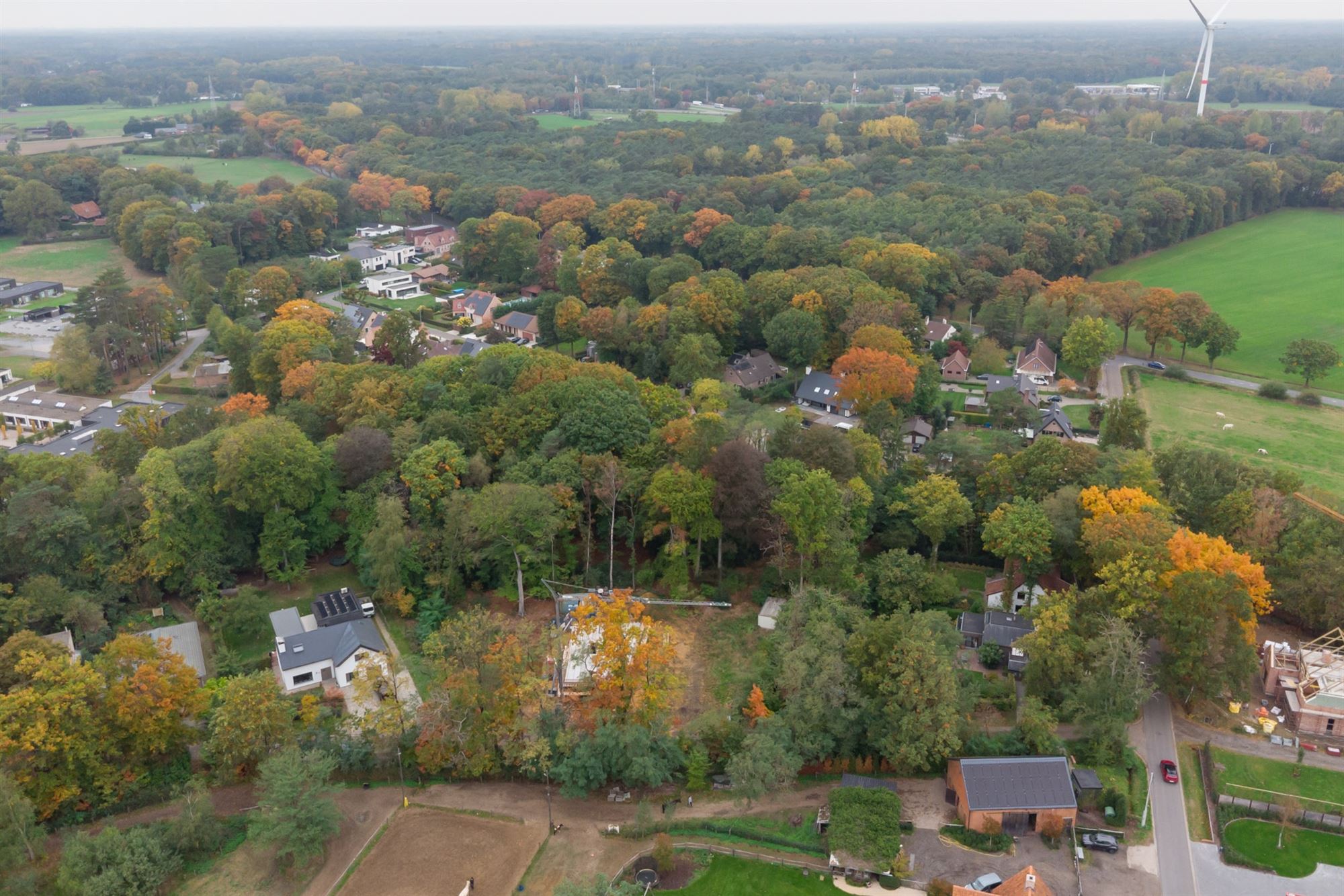 Landelijk gelegen bouwgrond van 999m² te Pulderbos - foto 5
