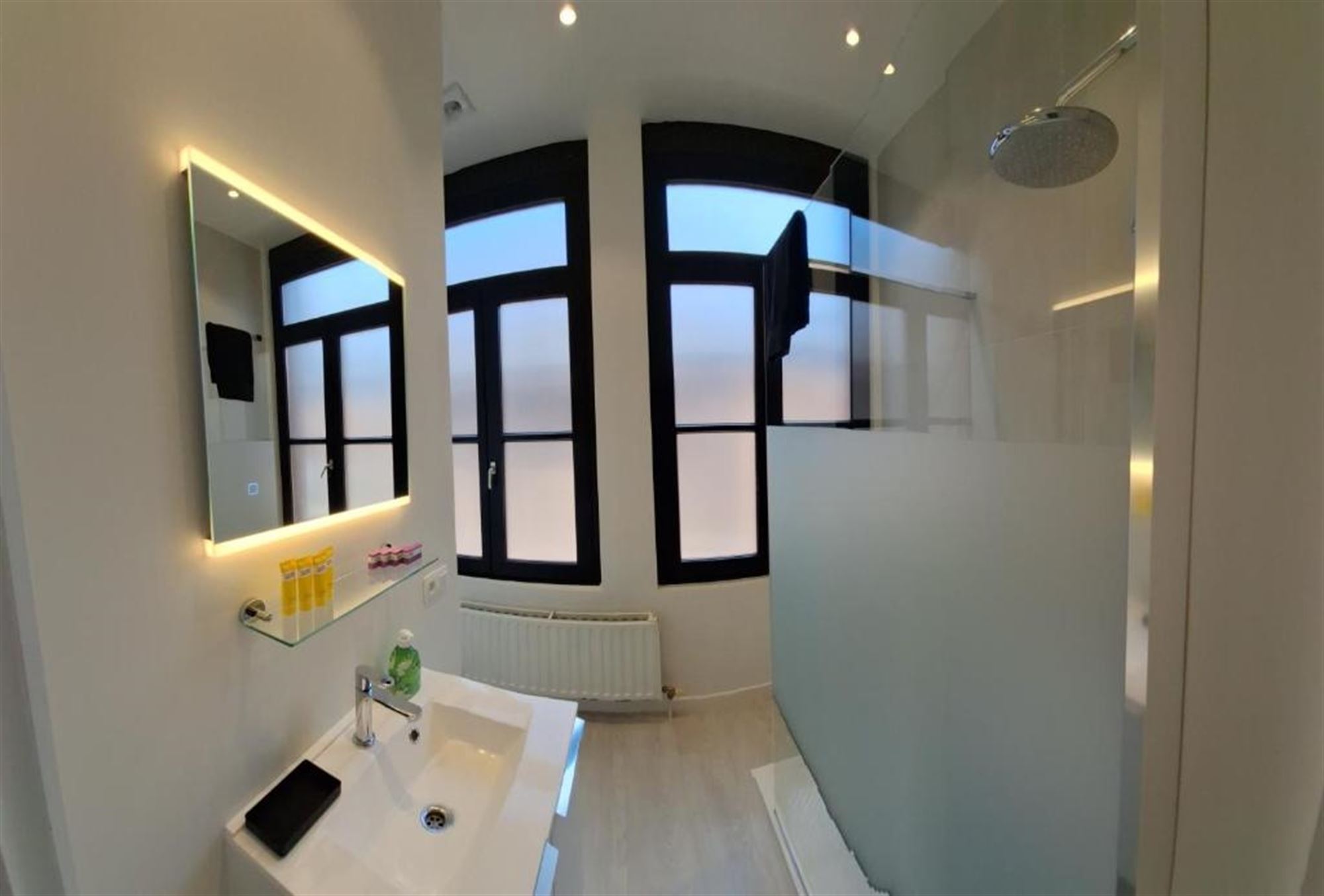 Woning in stadscentrum met 2 kamers, tuin en groen uitzicht - foto 4