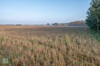 Land for sale in Hoogstraten