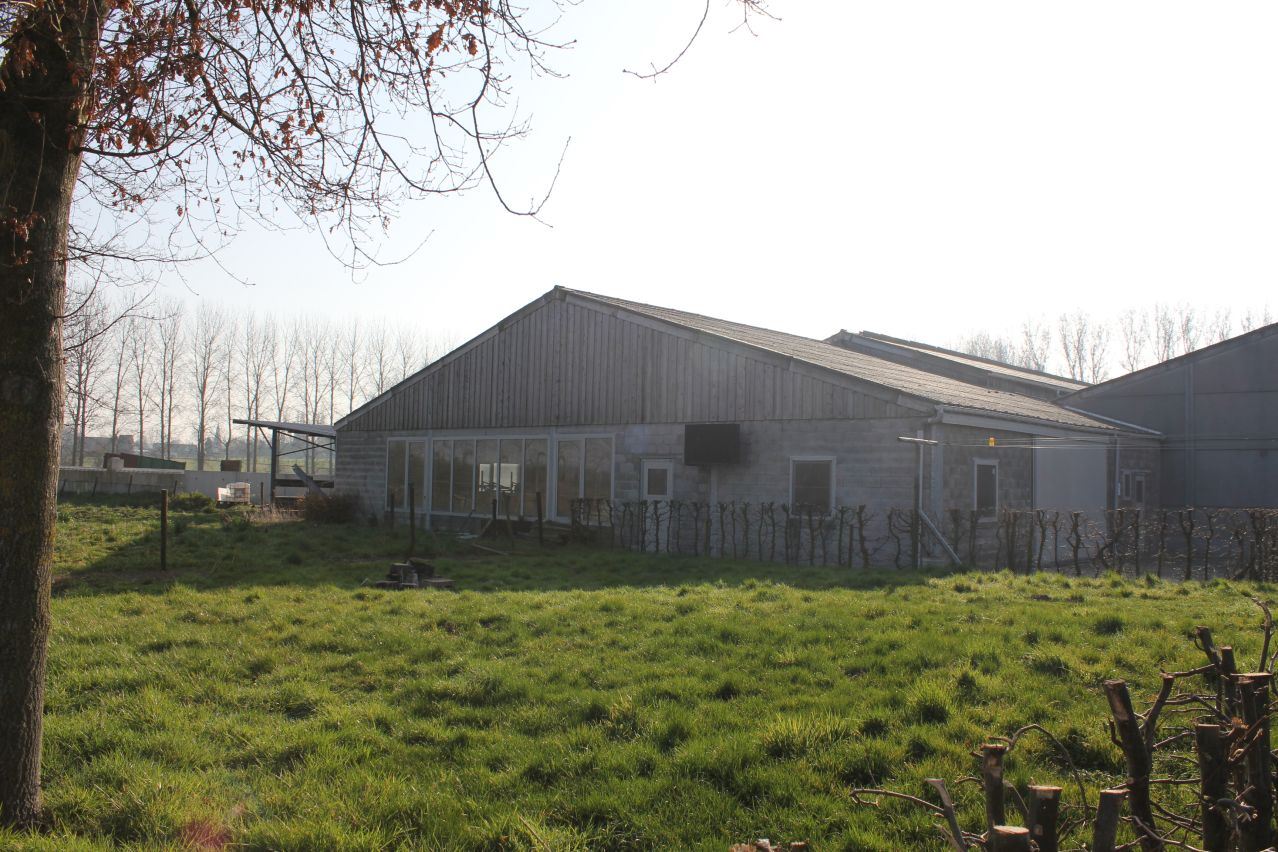 House for sale in Moortsele with 4 bedrooms - photo 3