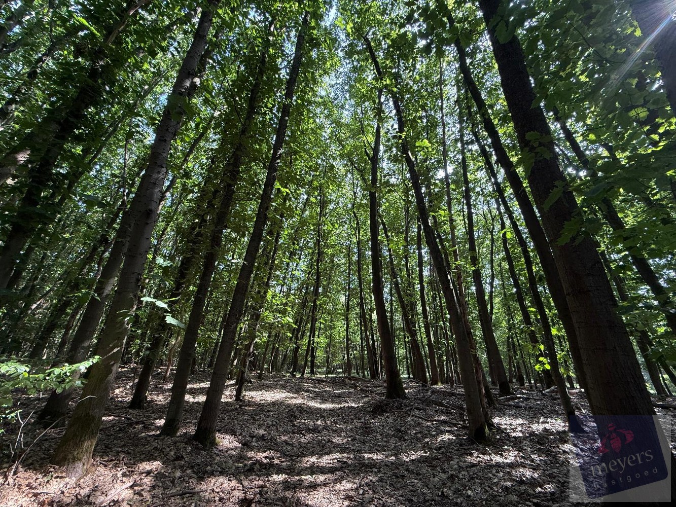 Land for sale in Houthalen-Helchteren - photo 1