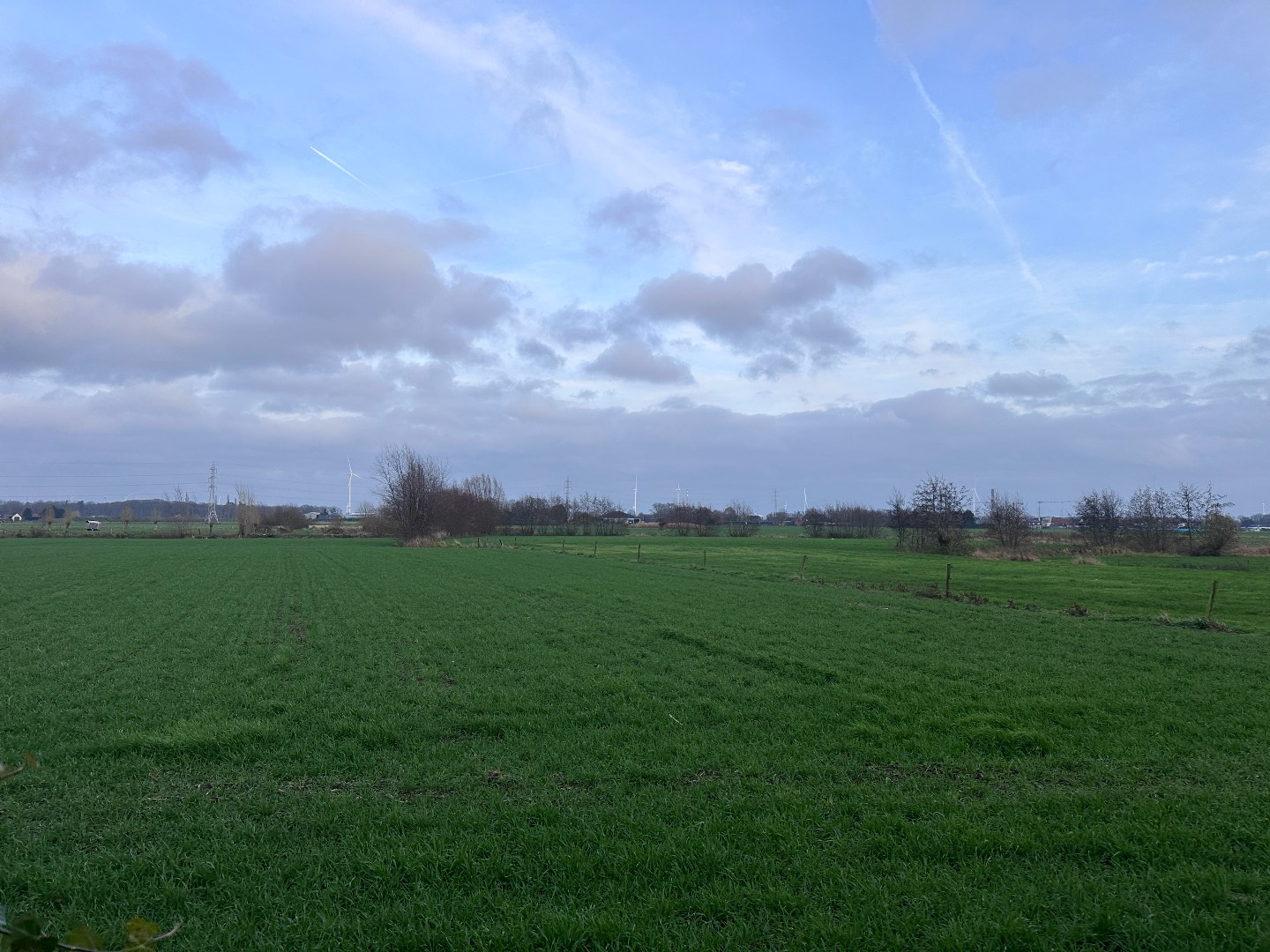 Te renoveren halfopen bebouwing met ruime achtertuin te Evergem - foto 2