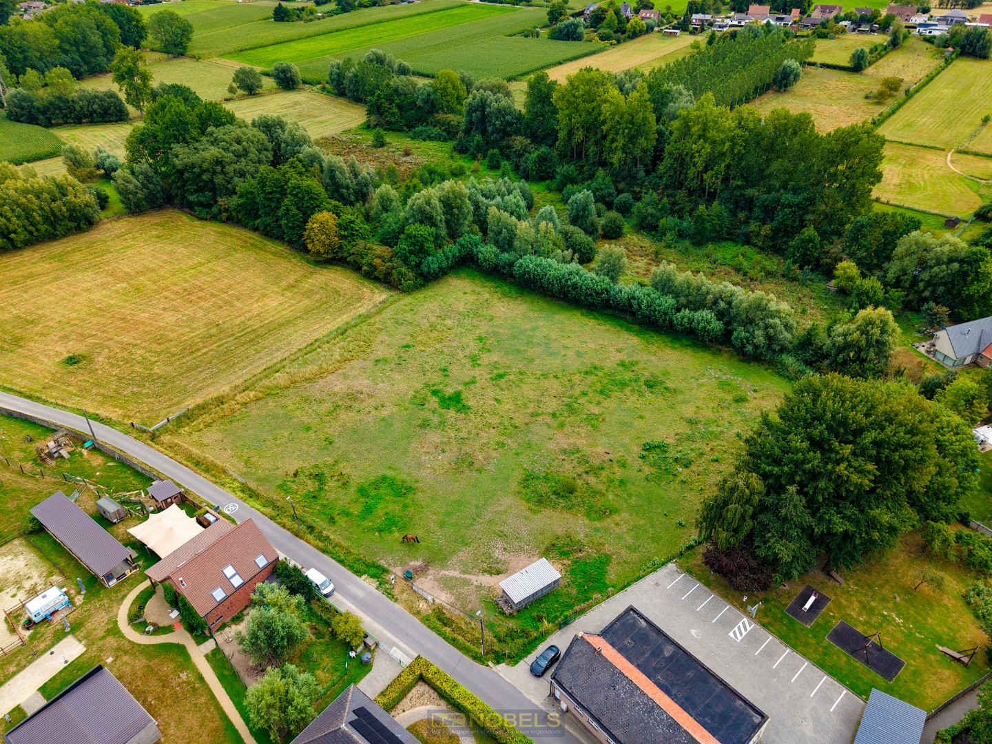 Te koop, luxe villaperceel (9.714m²) met weide op rustige ligging te Everbeek (Brakel) - foto 5