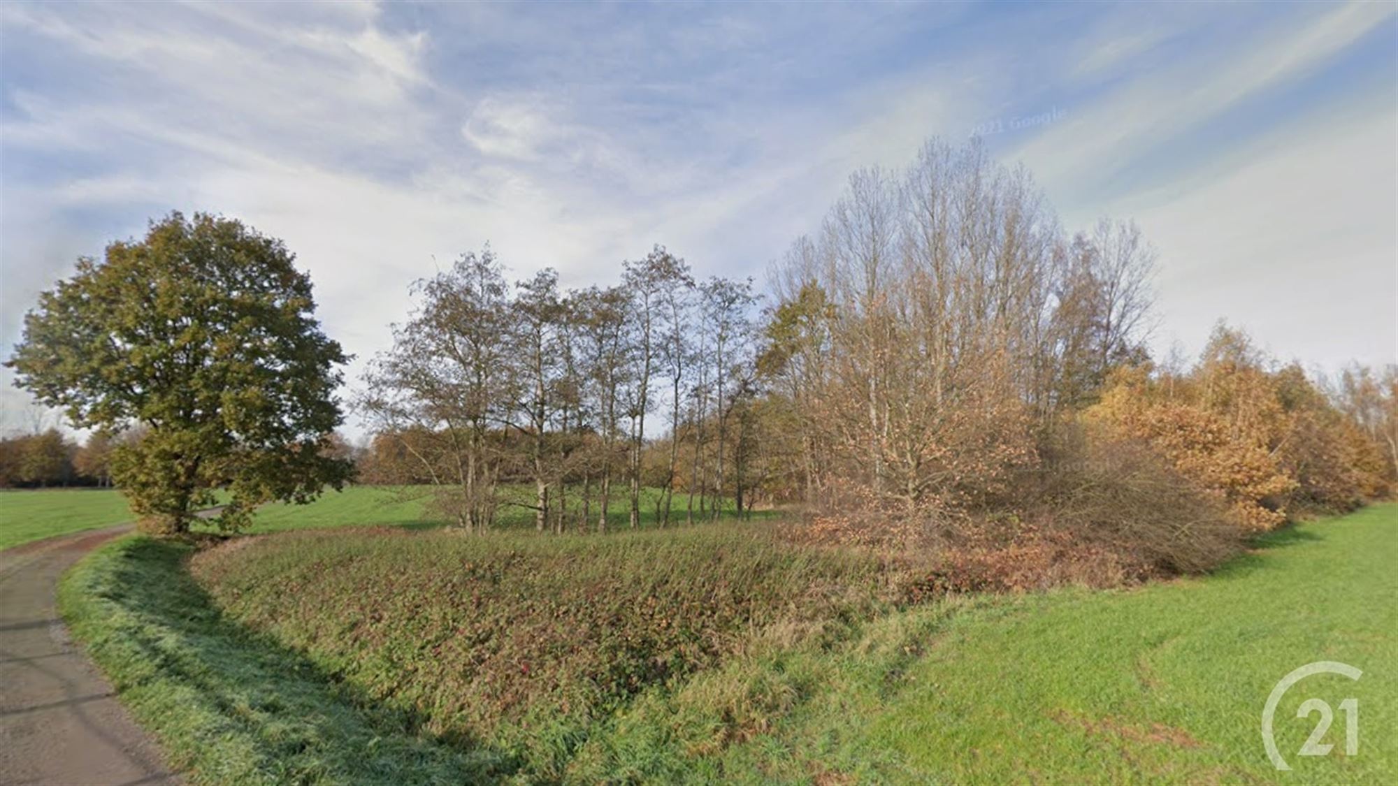 Landbouwgrond van 23 are 44 - foto 5