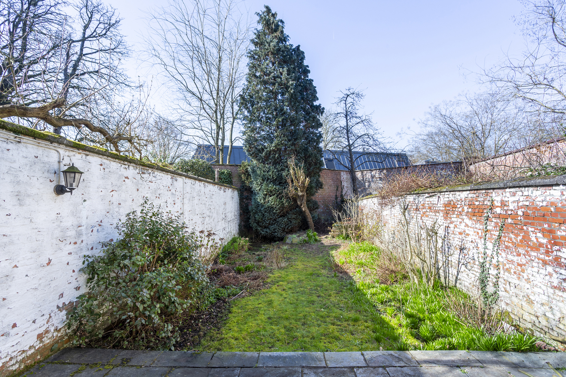 Te renoveren herenwoning met ruime tuin in Zurenborg - foto 3