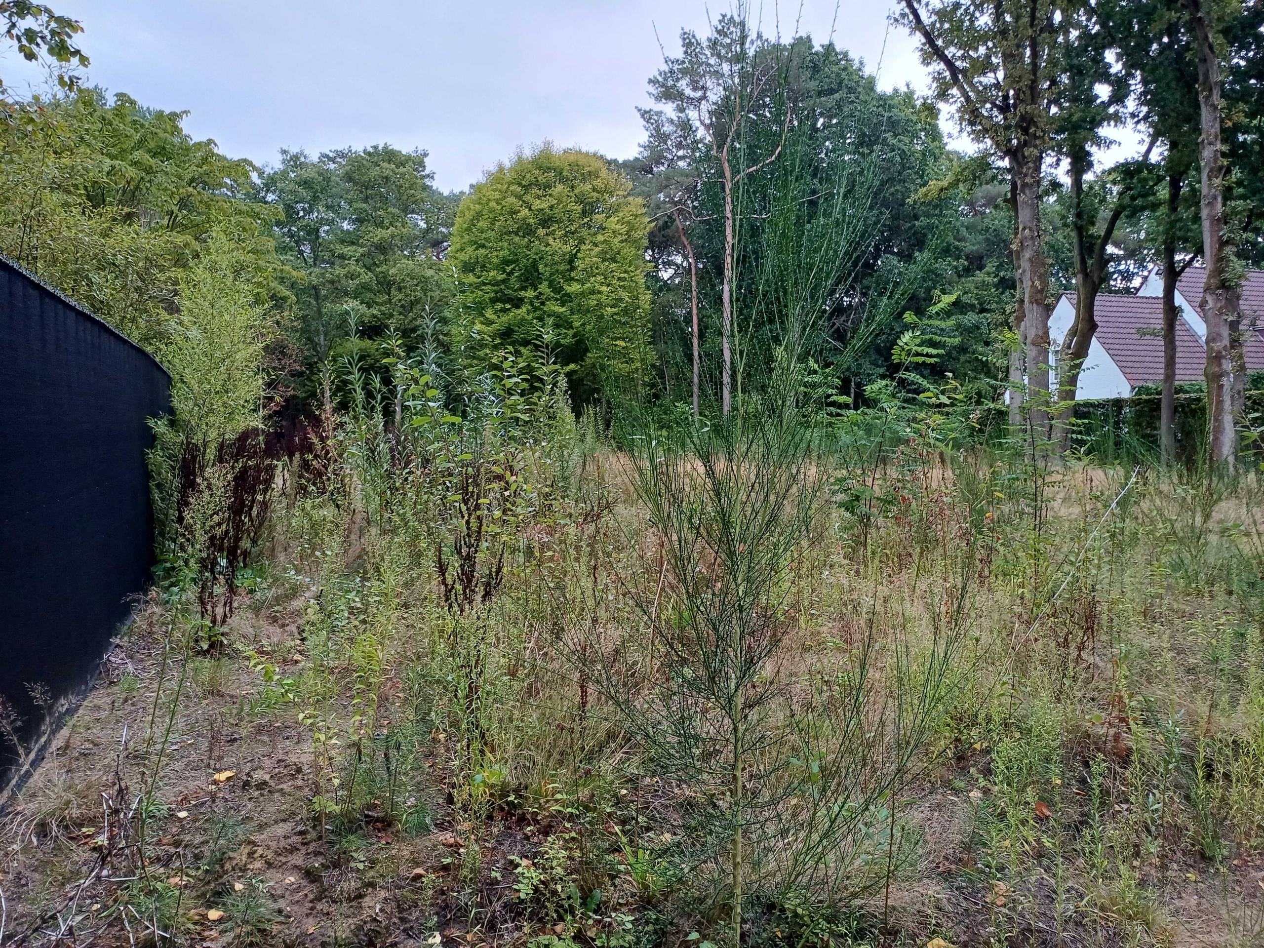 Terrain à vendre à Brasschaat - photo 1