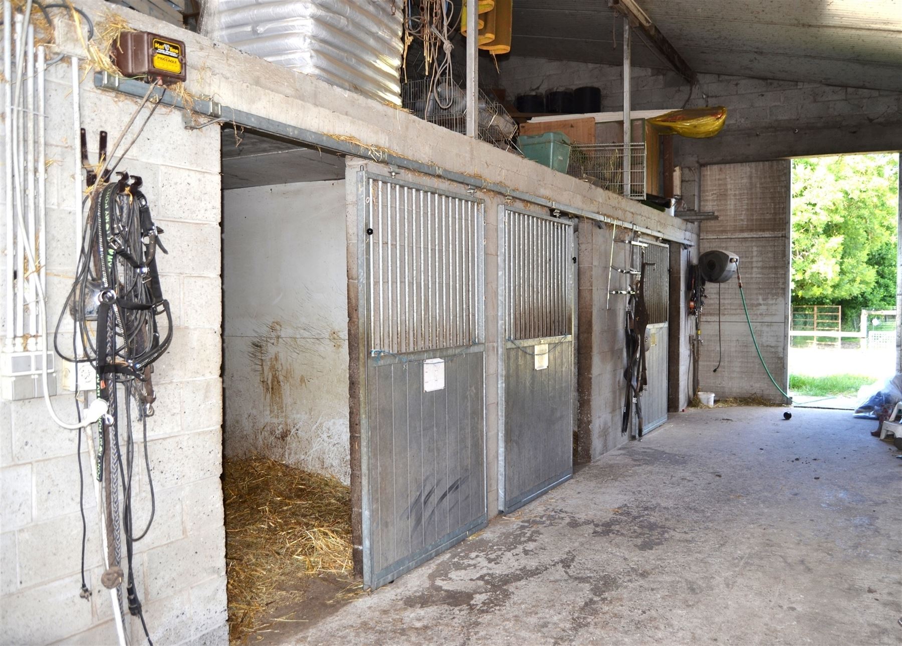 Stalling met 4 boxen, piste en weides samen 5000 m² - foto 5