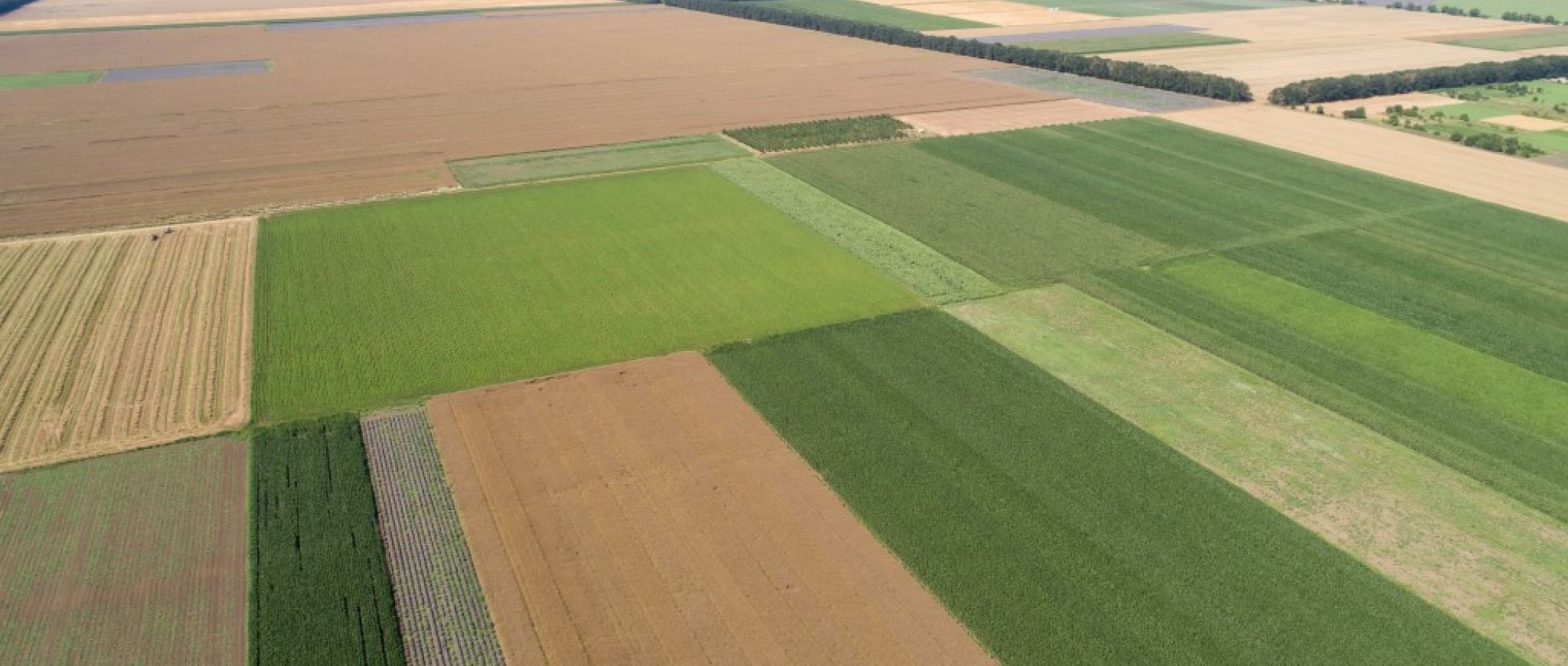 Weide/lanbouwgrond van 2,9 ha te koop in Steenkerke - foto 2