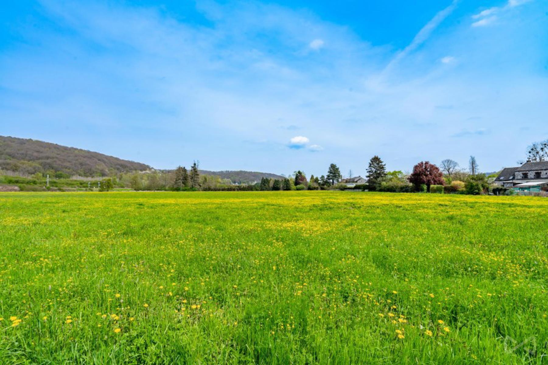 Grond te koop in Wanze - foto 4