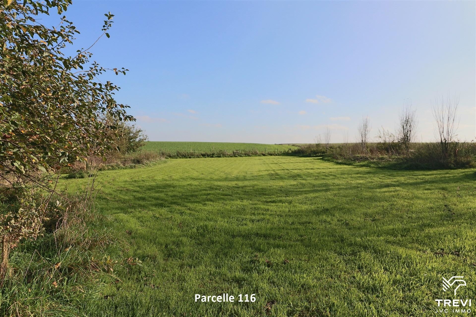 Grond te koop in Orp-Le-Grand - foto 5