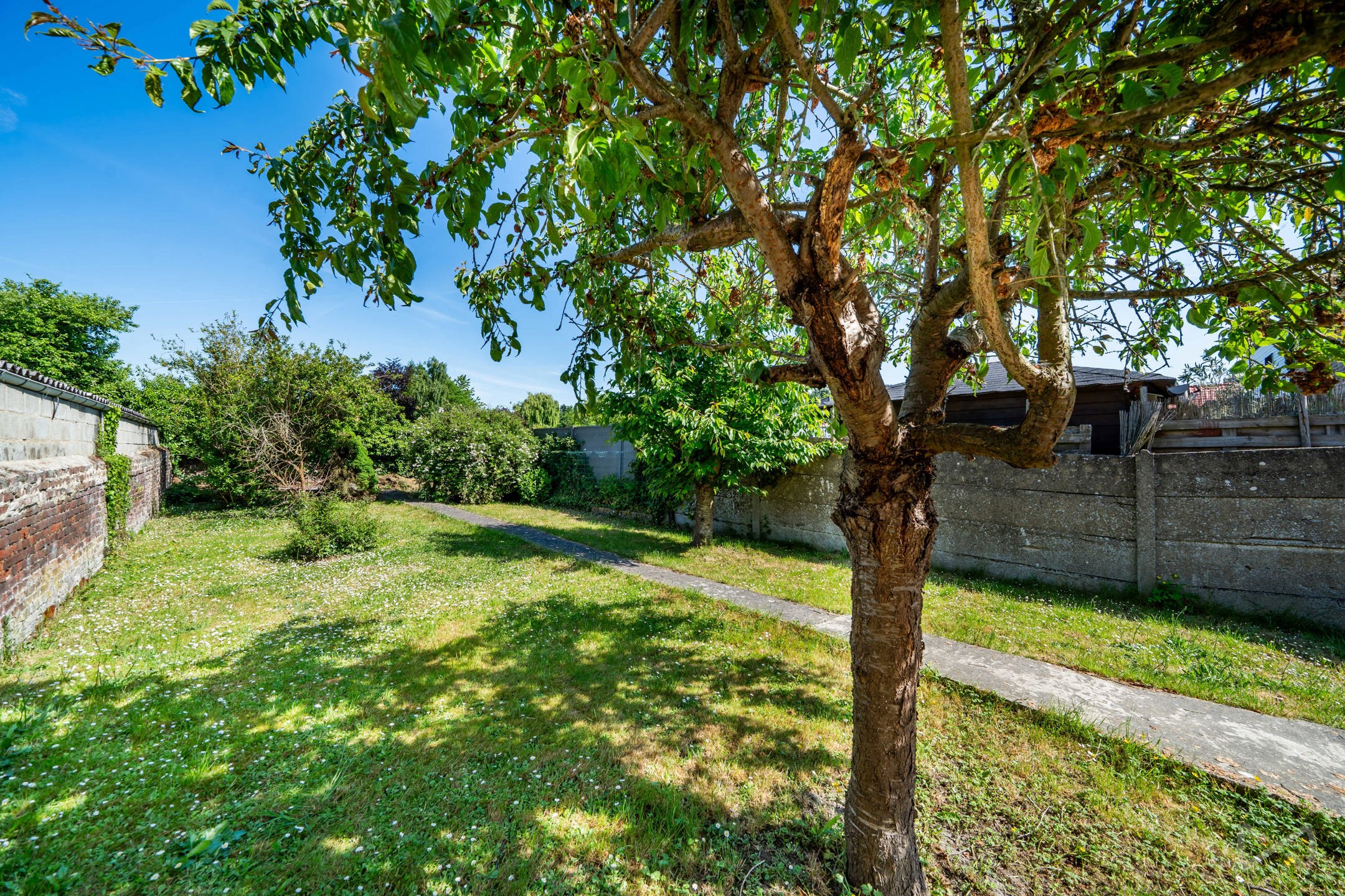 Maison à vendre à Lincent avec 4 chambres - photo 3