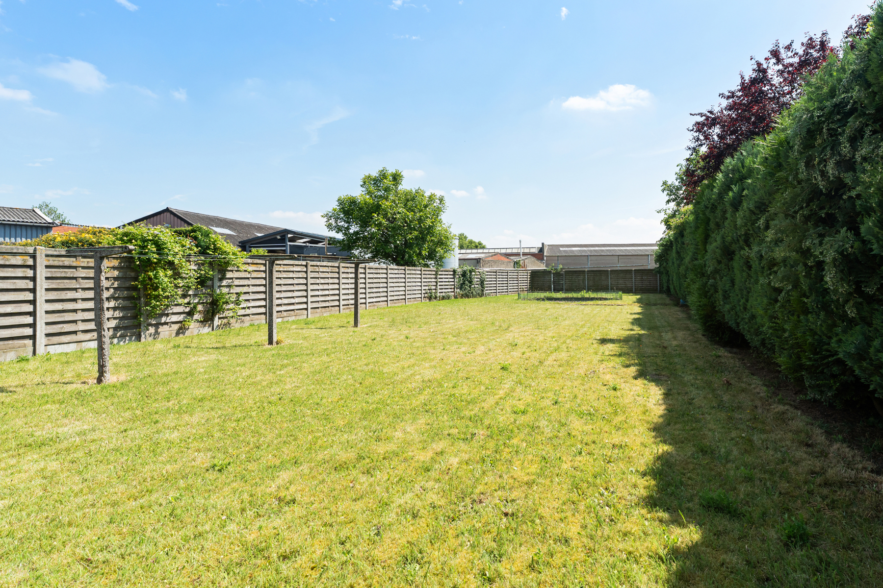 Ruime woning met diepe tuin in het centrum van Tielt  - foto 4