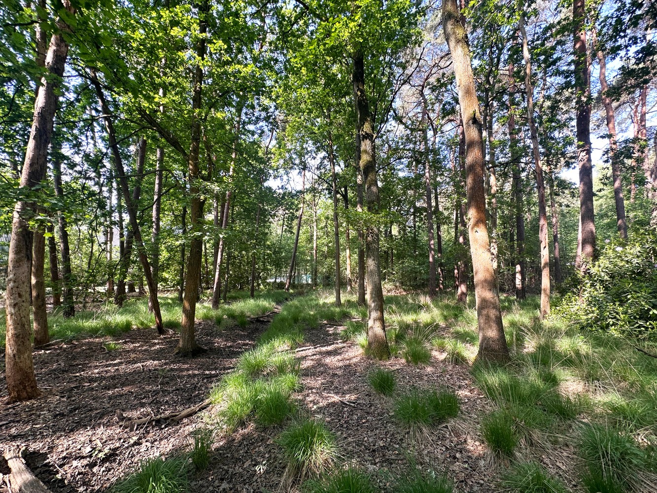 Unieke bouwgrond (5.150m²) omringd door groen &amp; privacy in de Zeurt te Schoten! - foto 4