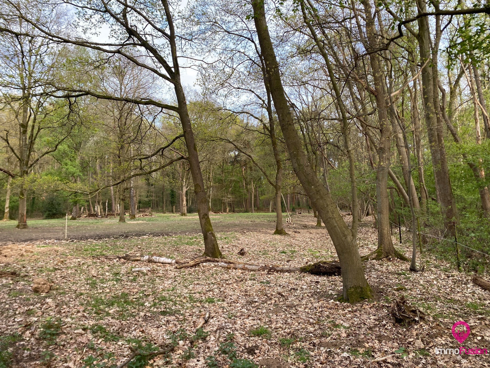 Landelijke weide voor dieren- en natuurliefhebbers! - foto 5