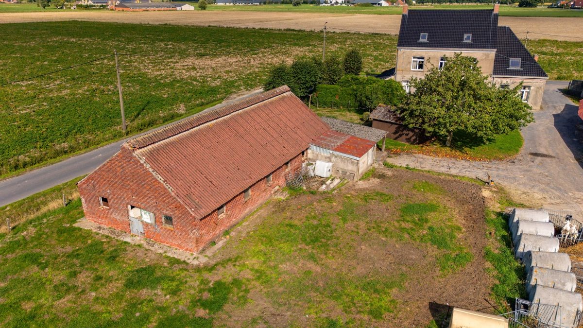 Hoeve op 12,50 ha te koop te Wingene - foto 5