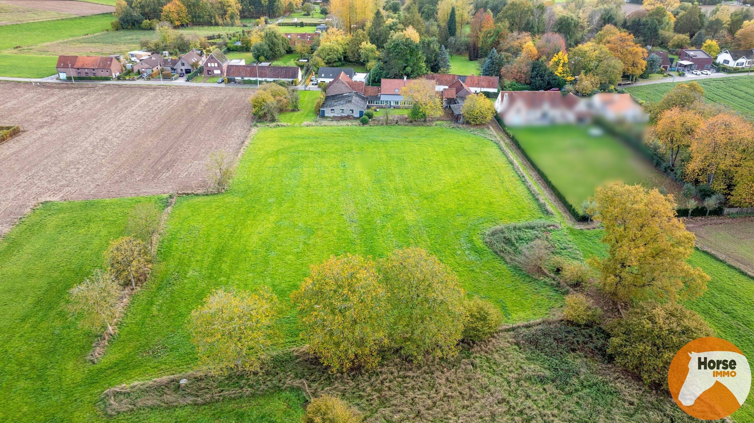 ASSE - Te renoveren hoeve met ruime schuur op 1,85 ha - foto 3