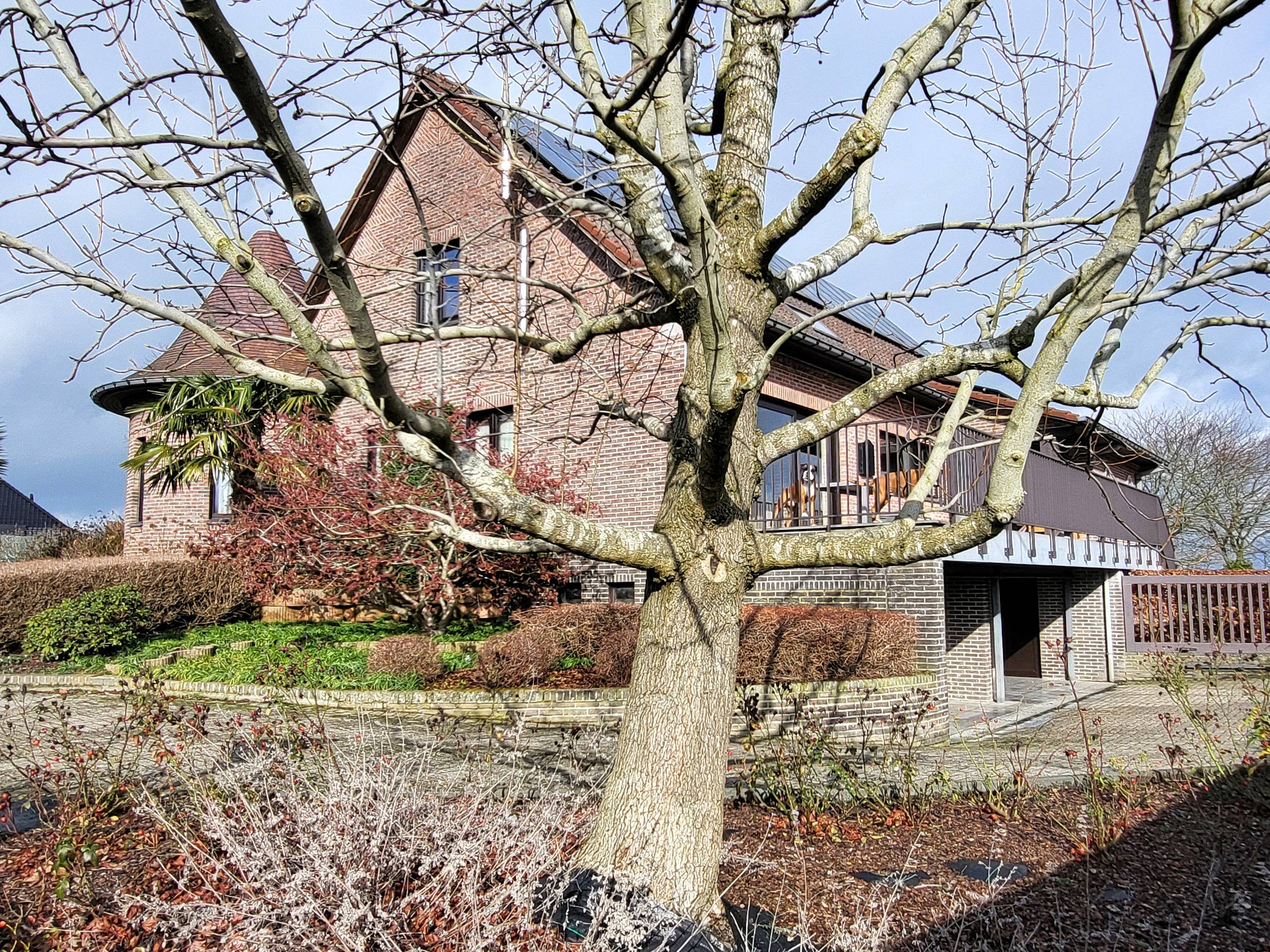 Dit uitzonderlijk ruim en energiezuinig landhuis op 4.149 m² combineert comfort, volume en een instapklare afwerking met tal van mogelijkheden. Topper! - foto 4