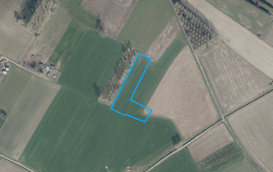 Grond te koop in Tildonk - foto 4