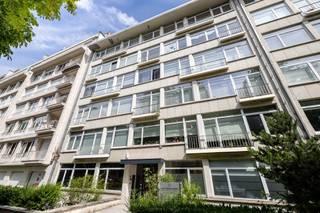 <p>UKKEL – Churchilllaan | Elegant 2-slaapkamerappartement met groen uitzicht!<br />Op een bevoorrechte ligging tussen de Churchillrotonde en het Ter Kamerenbos, in een van de meest gegeerde wijken van Ukkel, bevindt zich dit aangename appartement van ±115 m². Het geniet van een uitzonderlijke ligging, in de onmiddellijke nabijheid van winkels, openbaar vervoer en groene ruimtes.<br />Gelegen op de 2e verdieping van een perfect onderhouden gebouw uit de jaren 50, overtuigt het appartement door zijn mooie volumes, overvloedige lichtinval en aangename groene uitzichten.<br />Extra troeven zijn het EPC D+, een privatieve kelder en een ruime dienstbodekamer op de begane grond, ideaal als bureau en om in alle rust van thuis uit te werken.<br />Het appartement is momenteel verhuurd aan € 1.466/maand in het kader van een huurovereenkomst die werd ondertekend in 2022, waardoor het eveneens een interessante opportuniteit vormt voor een investeerder die op zoek is naar een uitstekend gelegen eigendom.</p>
<p><span>2e verdieping (links)</span>: Appartement "A2"</p>
<ul>
<li>Inkomhal</li>
<li>Woonkamer met parket van ± 38 m²</li>
<li>Volledig uitgeruste keuken</li>
<li>Nachthal</li>
<li>Slaapkamer 1 van ± 14 m²</li>
<li>Slaapkamer 2 van ± 16 m²</li>
<li>Badkamer</li>
<li>Toilet</li>
</ul>
<p>kelder C01<br />dienstbodenkamer</p>