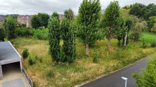 <h2>3 bouwgronden te koop in Deerlijk</h2>
<p>Op zoek naar de ideale bouwgrond voor jouw toekomstige woning? In Deerlijk bieden wij drie mooi gelegen, reeds verkavelde bouwgronden aan voor zowel halfopen als open bebouwing.</p>
<h3><u>Beschikbaar</u><br />Open bebouwing</h3>
<ul><li>
<p>Bouwgrond 1 (kavel 1a): 828 m² – €199.000</p>
</li></ul>
<p>Halfopen bebouwing</p>
<ul><li>Bouwgrond 2 (kavel 2a): 670 m² – €175.000</li><li>Bouwgrond 3 (kavel 3a): 661 m² – €172.500</li></ul>
<p>Bouwvoorschriften : 20 meter diep voor het gelijkvloers, 12m diep voor de verdieping, , zijkavelgrens 3 m , afstand tot de rooilijn 6m, bijgebouw van 40m2 mogelijk</p>
<h3>Troeven</h3>
<p>-Reeds verkaveld en bouwklaar<br />-Centrale ligging nabij winkels, scholen en de E17<br />-Ruime bouwmogelijkheden<br />-Ideale combinatie van bereikbaarheid en rustig wonen</p>
<p>De bouwvoorschriften zijn verkrijgbaar op ons kantoor.</p>
<p>Interesse of wens je meer informatie? Neem gerust contact op met Sofie Bossuyt via 0474 222 182.</p>