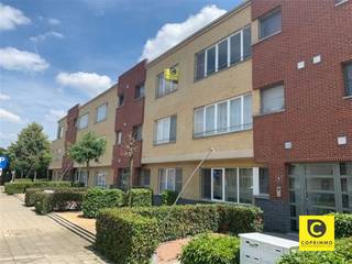 <p><span>Dit </span><span>prachtig gerenoveerde dakappartement</span><span> bevindt zich op de bovenste verdieping van een </span><span>kleinschalig gebouw met lift</span><span>. De woning geniet van een </span><span>uitstekende, centrale ligging nabij het centrum van Aartselaar</span><span>, terwijl u toch kunt genieten van de rust en het mooie uitzicht over de achterliggende velden.</span></p><p><span> </span></p><p><span>Indeling</span></p><p><span>Inkomhal & berging</span><span><br />Via de ruime inkomhal krijgt u toegang tot de verschillende vertrekken. Er is tevens een praktische berging aanwezig, voorzien van een aansluiting voor de wasmachine.</span></p><p><span> </span></p><p><span>Leefruimte & keuken</span><span><br />De ruime leefruimte van maar liefst </span><span>40 m²</span><span> bevindt zich aan de achterzijde van het appartement. Dankzij de grote raampartijen geniet u hier van veel natuurlijk licht en een prachtig, vrij uitzicht over de velden. Vanuit de leefruimte heeft u rechtstreeks toegang tot het aangename terras.</span></p><p><span>De open keuken sluit mooi aan bij de leefruimte en is </span><span>volledig geïnstalleerd</span><span>. De moderne keuken beschikt over een praktische ontbijthoek en voldoende opbergkasten.</span></p><p><span> </span></p><p><span>Badkamer, toilet & slaapkamers</span><span><br />De badkamer is uitgerust met een ligbad en een lavabomeubel. Het toilet is apart. Aan de voorzijde van het appartement bevinden zich </span><span>twee slaapkamers</span><span>.</span></p><p><span> </span></p><p><span>Garagebox</span></p><p><span>Er is een </span><span>garagebox verplicht bij te huren</span><span> aan </span><span>€ 100/maand</span><span>.</span></p><p><span> </span></p><p><span>Huurprijs & kosten</span></p><ul><li><span>Huurprijs appartement: </span><span>€ 1050/maand</span></li><li><span>Garagebox: </span><span>€ 100/maand</span></li><li><span>Gemeenschappelijke kosten: </span><span>€ 100/maand</span></li></ul><p><span> </span></p><p><span>Het appartement is </span><span>onmiddellijk beschikbaar</span><span>.</span></p><p><span> </span></p><p><span>Troeven</span></p><ul><li><span> Aangenaam terras met prachtig uitzicht over de velden</span></li><li><span>Centrale ligging nabij het centrum van Aartselaar</span></li><li><span>2 slaapkamers</span></li><li><span> Kleinschalig gebouw</span></li><li><span> Lift aanwezig</span></li><li><span>Garagebox beschikbaar en verplicht bij te huren</span></li></ul><p><span> </span></p><p><span> </span></p><p><span> </span></p>