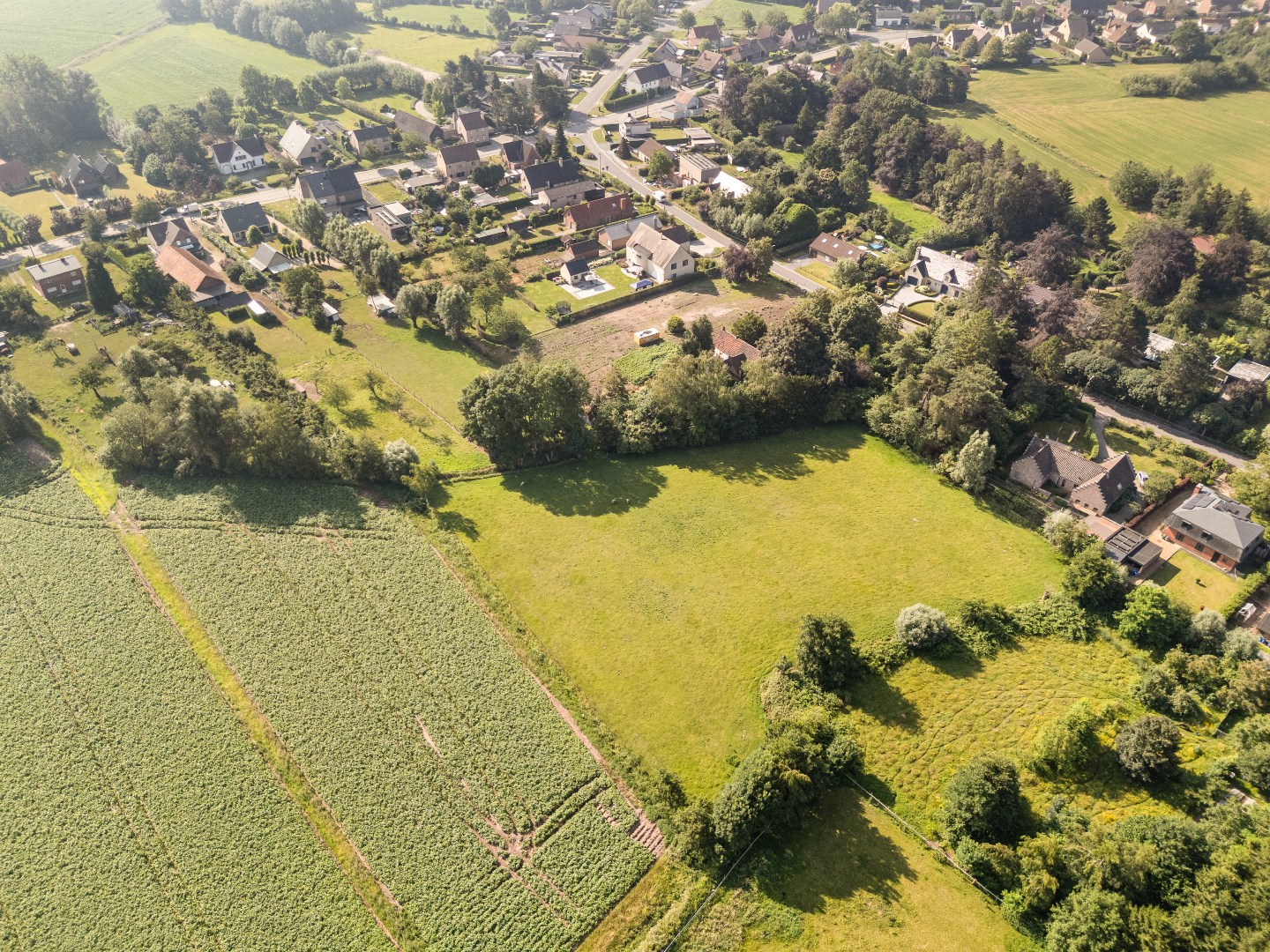 Landelijk wonen op bijna een hectare - foto 5