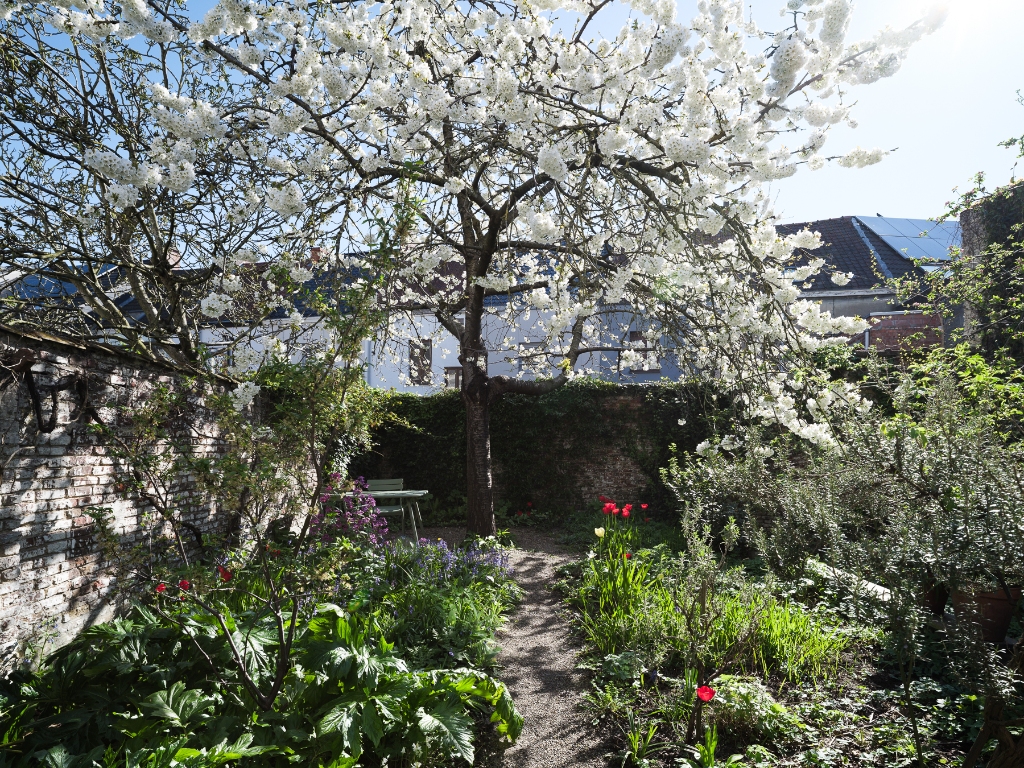 Karaktervolle architectenwoning met 3 slaapkamers en een uitzonderlijke tuin in Ledeberg. - photo 4