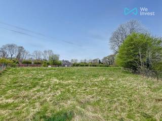 Land for sale in Momignies