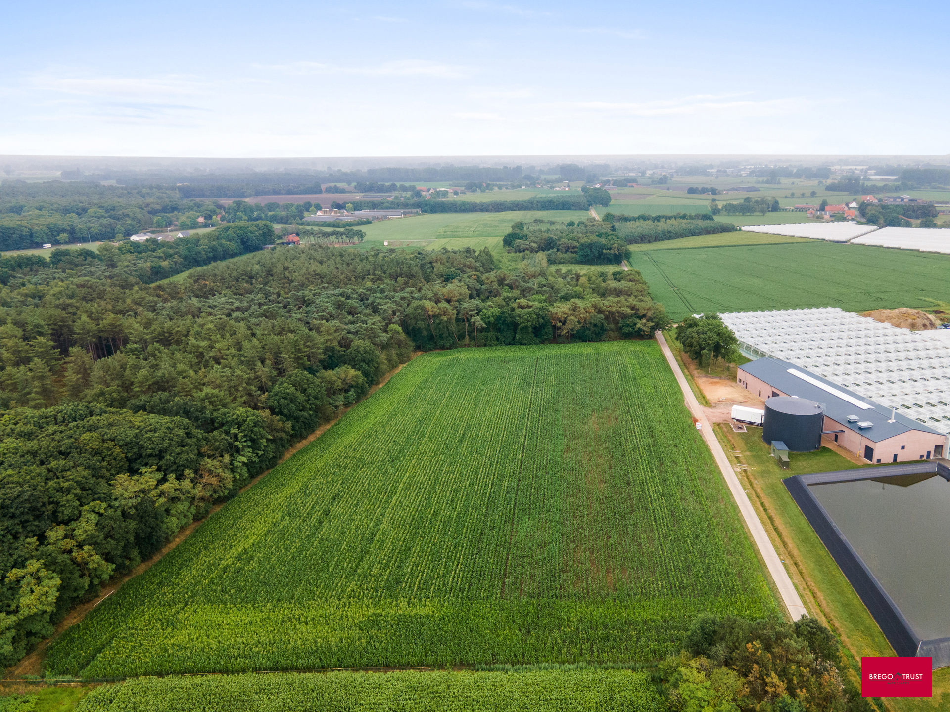 Land for sale in Hoogstraten - photo 2