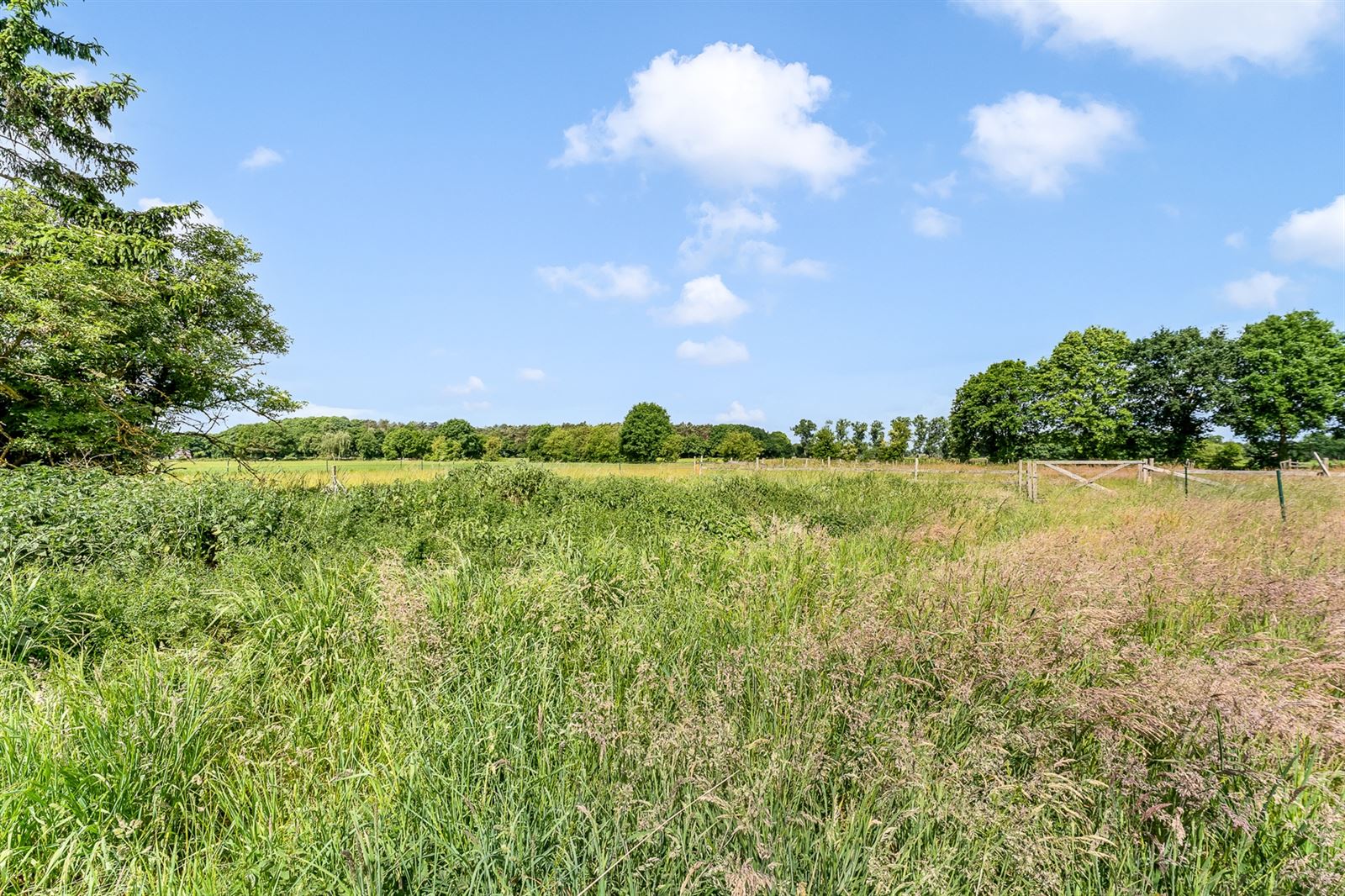 Maison à vendre à Geel avec 3 chambres - photo 4