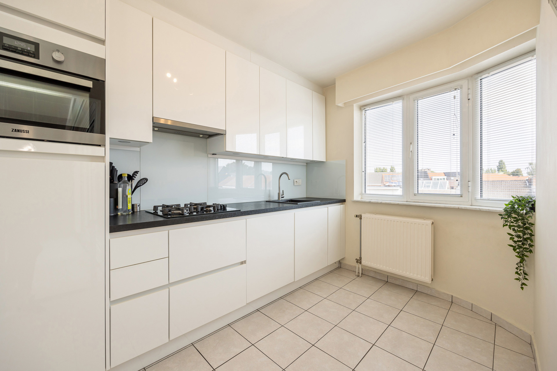INSTAPKLAAR APPARTEMENT MET RUIM ZUID TERRAS - foto 1