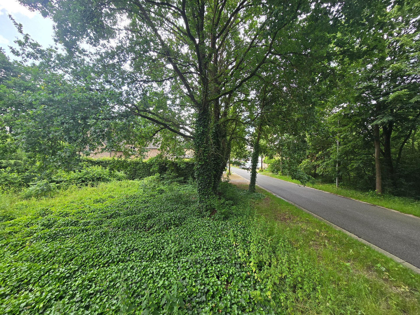 Bouwgrond voor OB, 9a16ca, met zicht op groen - foto 5