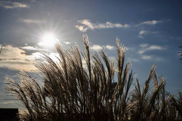 Project te koop in Roeselare