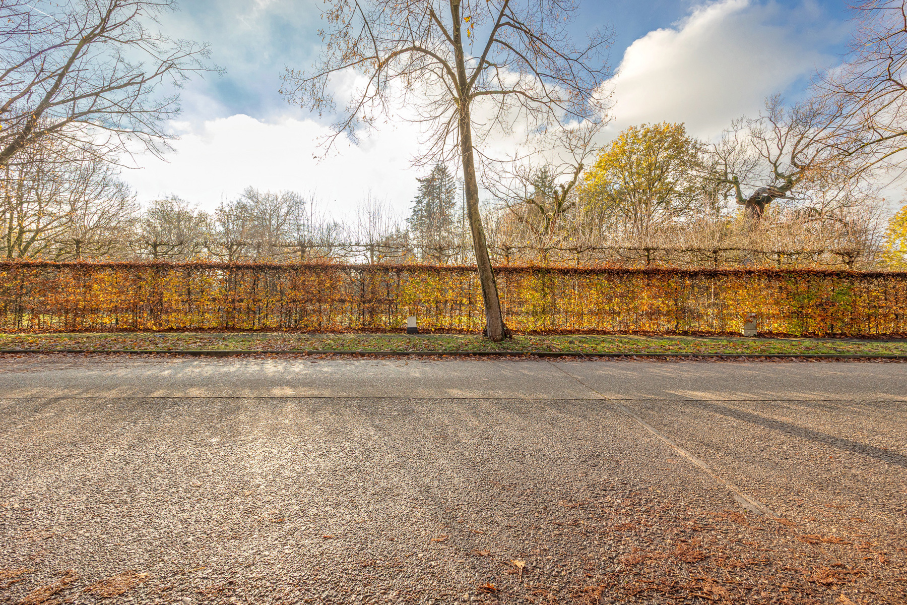 PARK VAN SCHOTEN | VILLAGROND  - foto 2