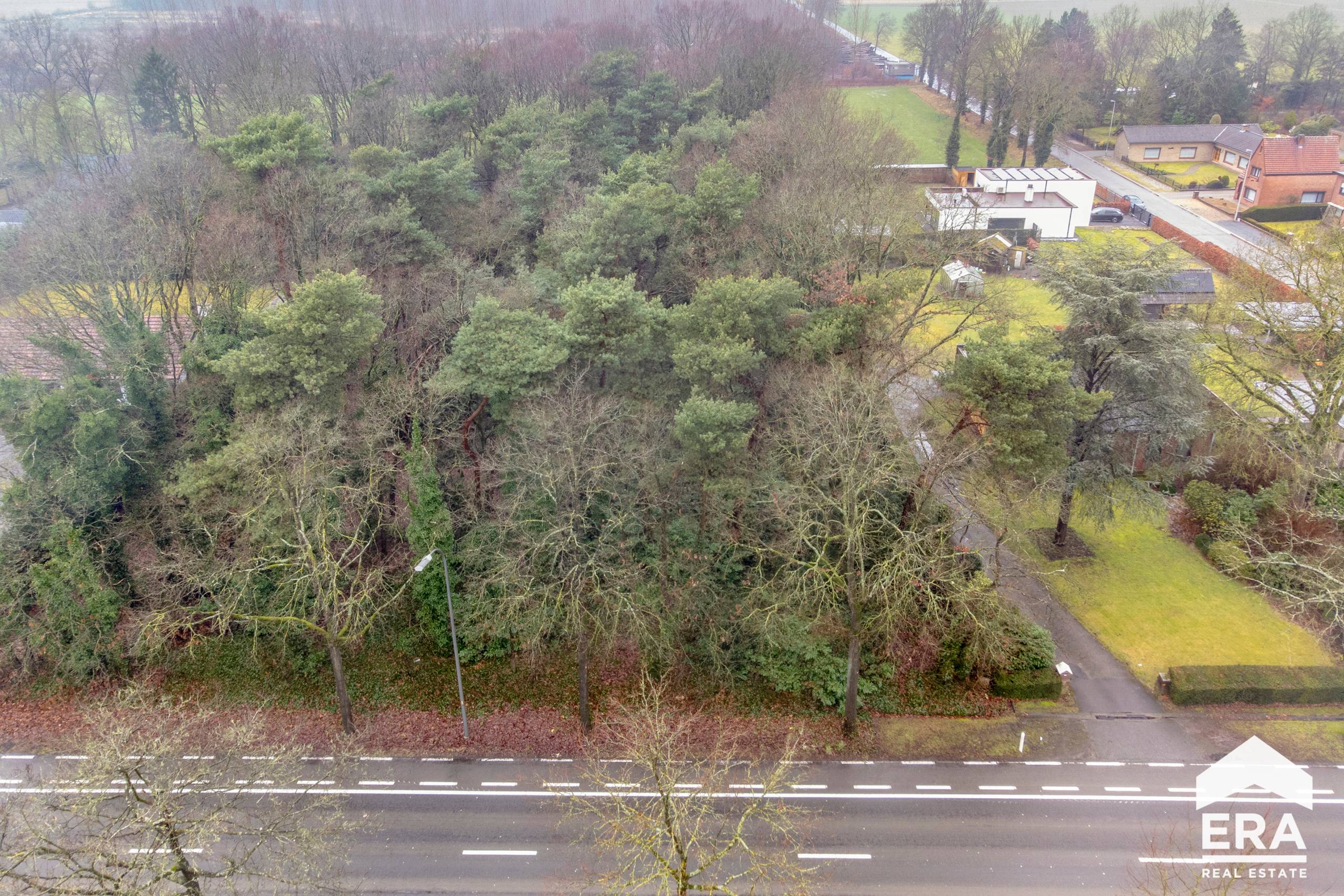 Prachtige bouwgrond (2500m²) te koop in Lommel - foto 3