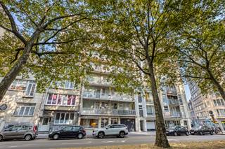 Commercial for sale in Antwerp