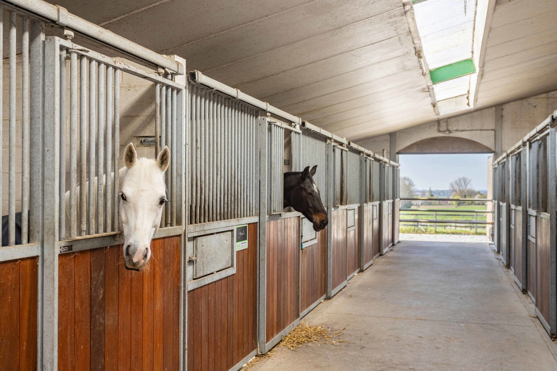 SECRET SALE – Paardenaccommodatie met gerenoveerde woning - foto 5