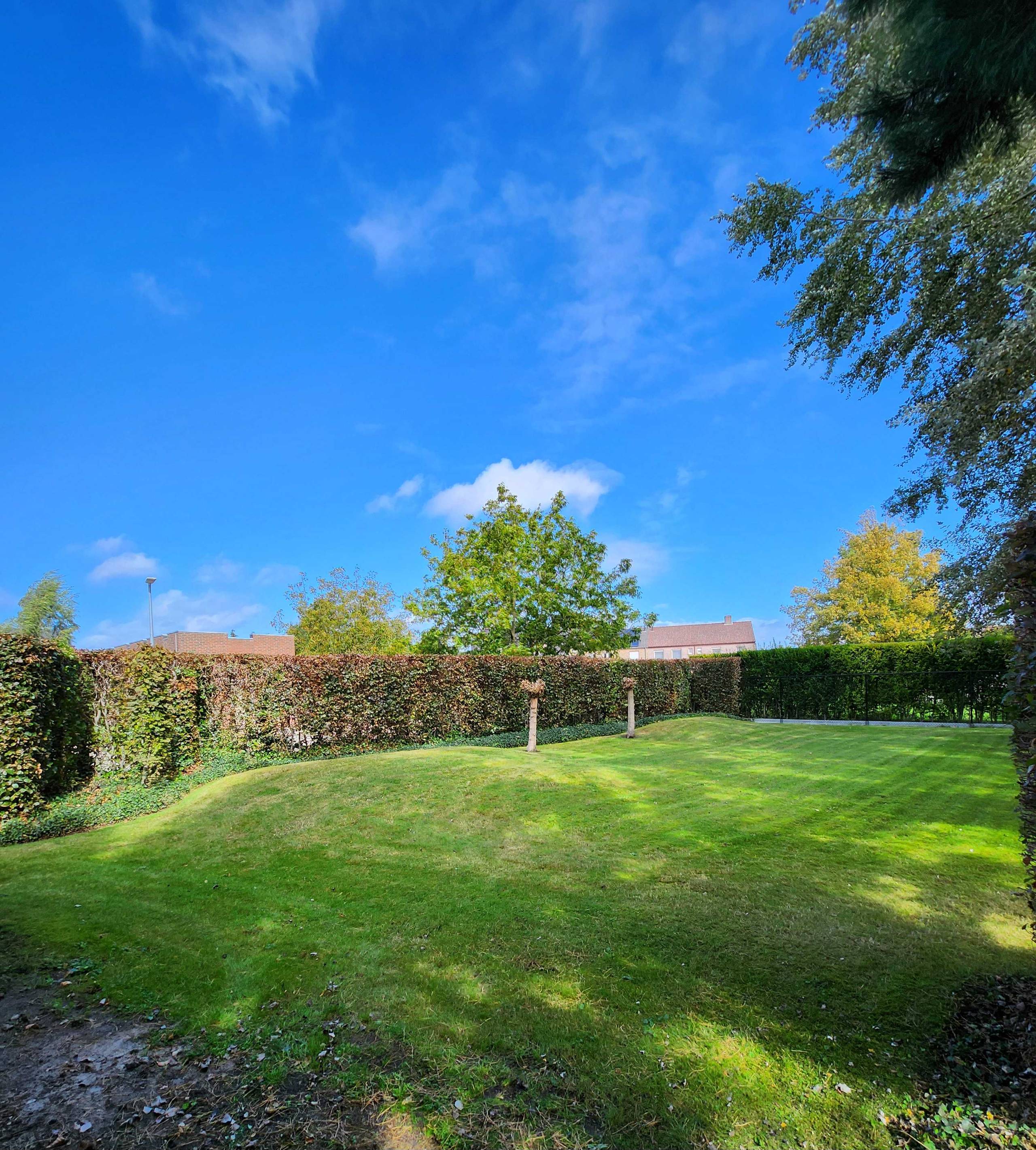 Land for sale in Retie - photo 3