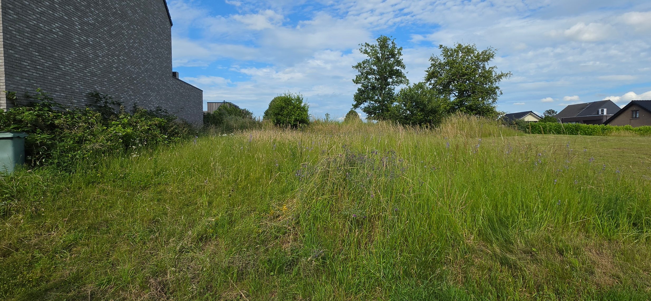 Grond te koop in Heverlee - foto 5