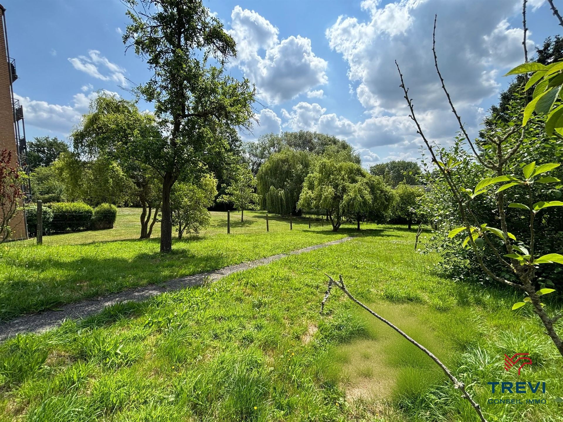 SOUS OPTION Maison 3 chambres avec jardin - photo 2