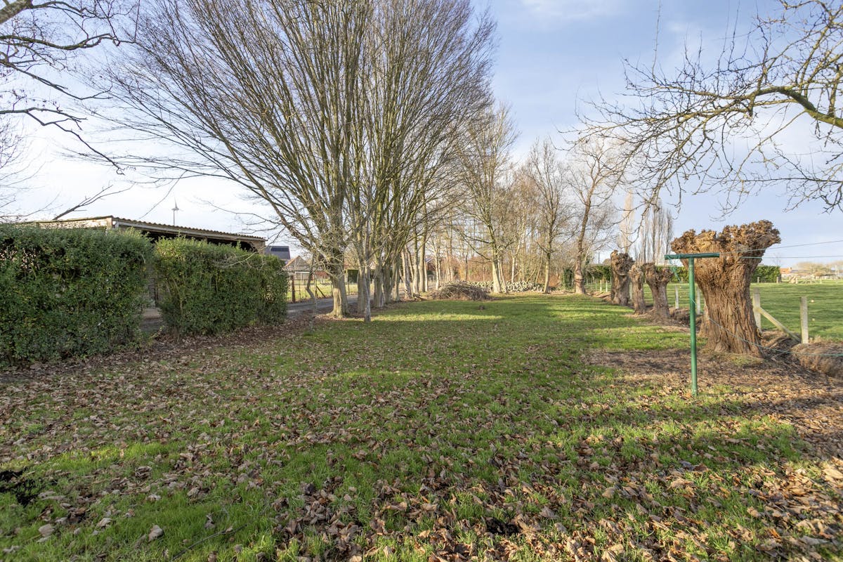 Landelijk gelegen huis met veel potentieel in Ruddervoorde - foto 3