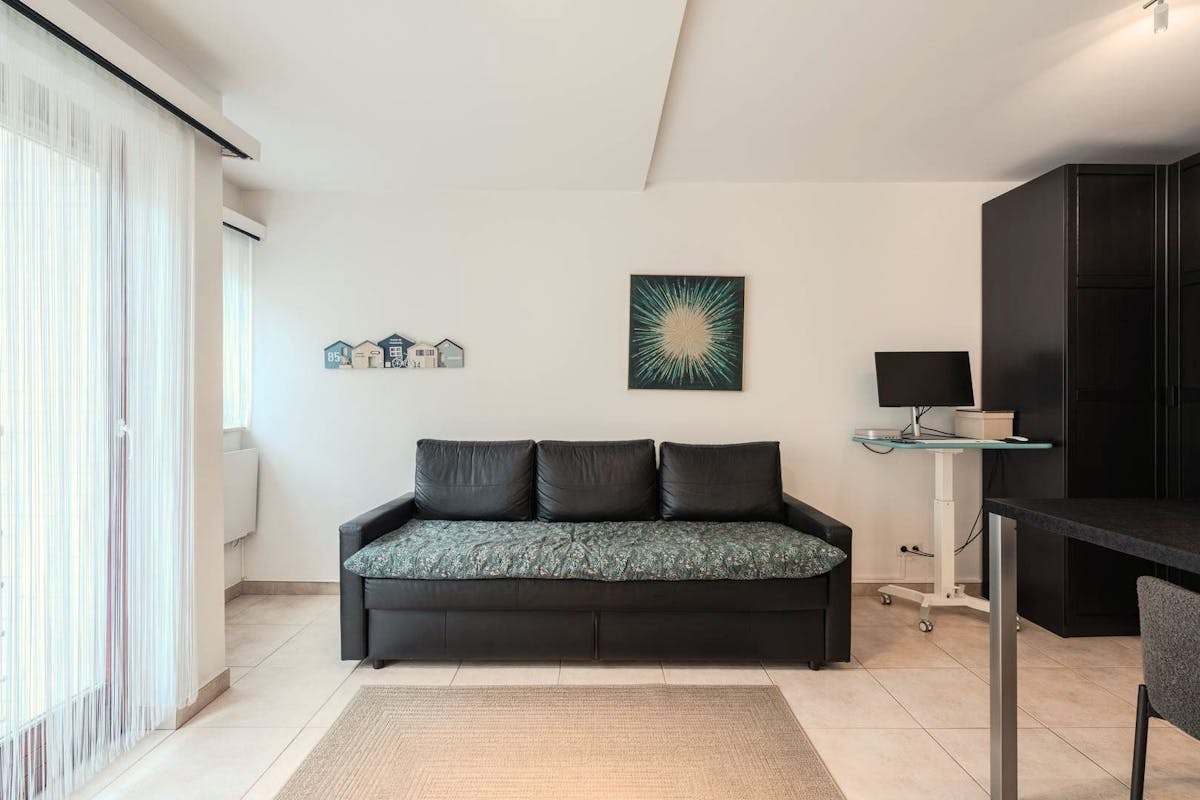 Lichtrijke studio met slaaphoek en terras te koop! - foto 5