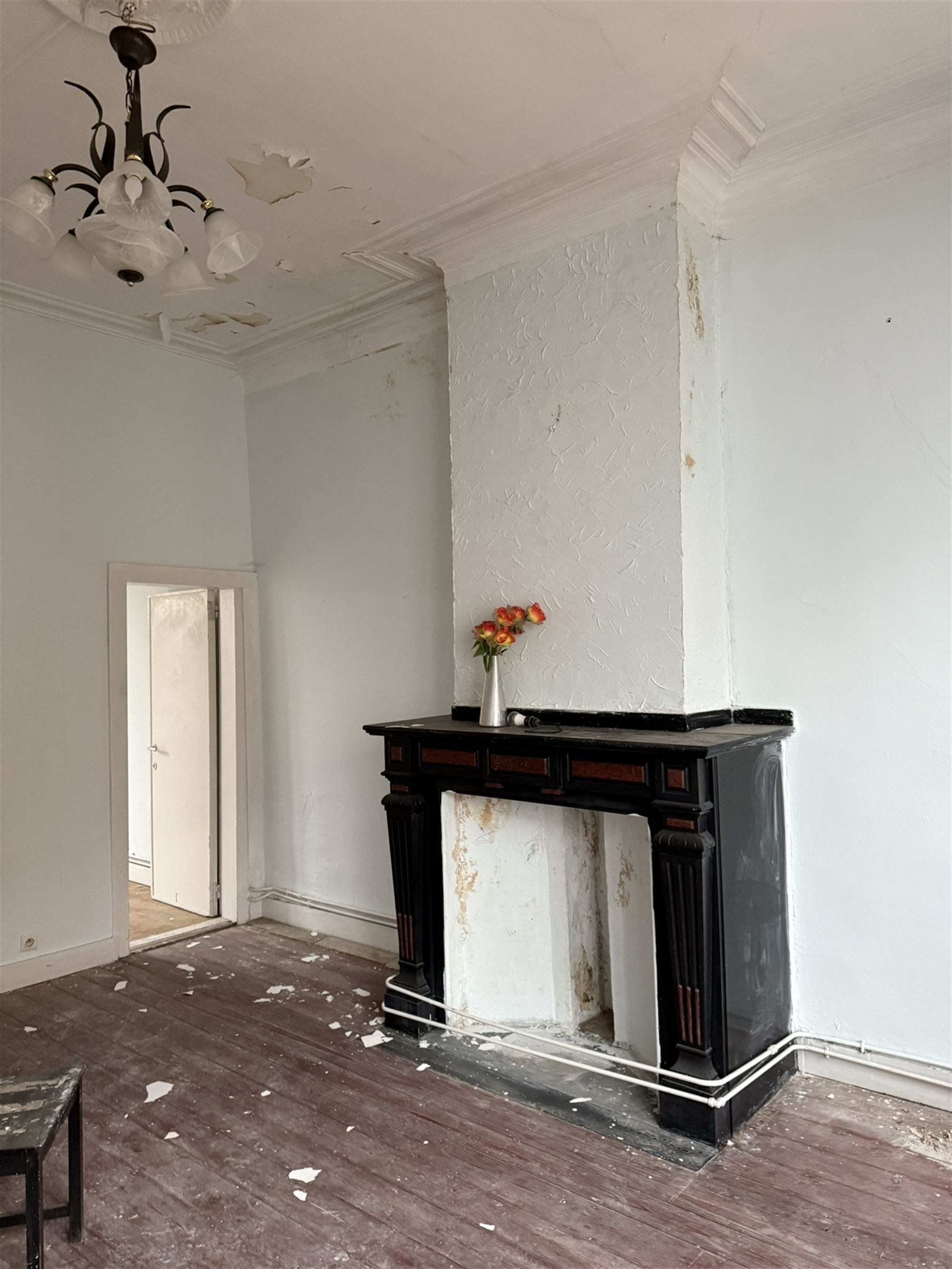 Commercial à vendre à Anvers avec 5 chambres - photo 4