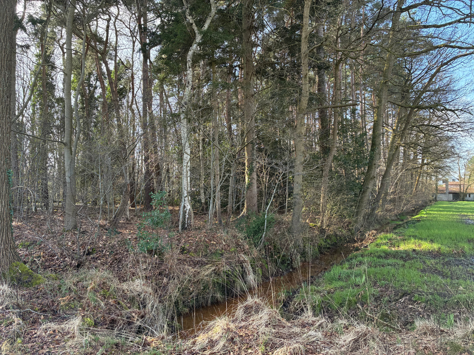 Groot stuk bos gelegen in woonparkgebied - foto 4