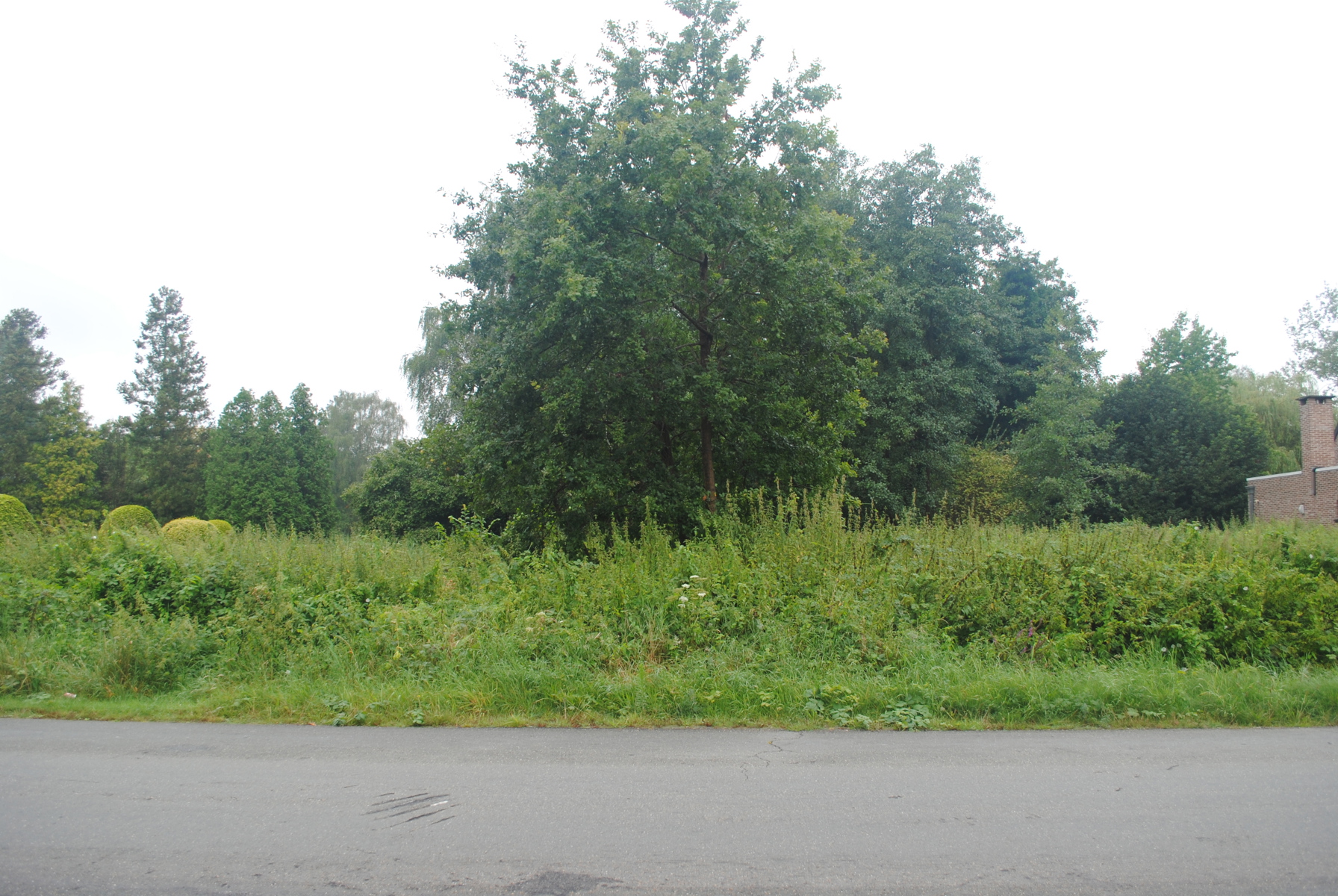 Land for sale in Mol - photo 5