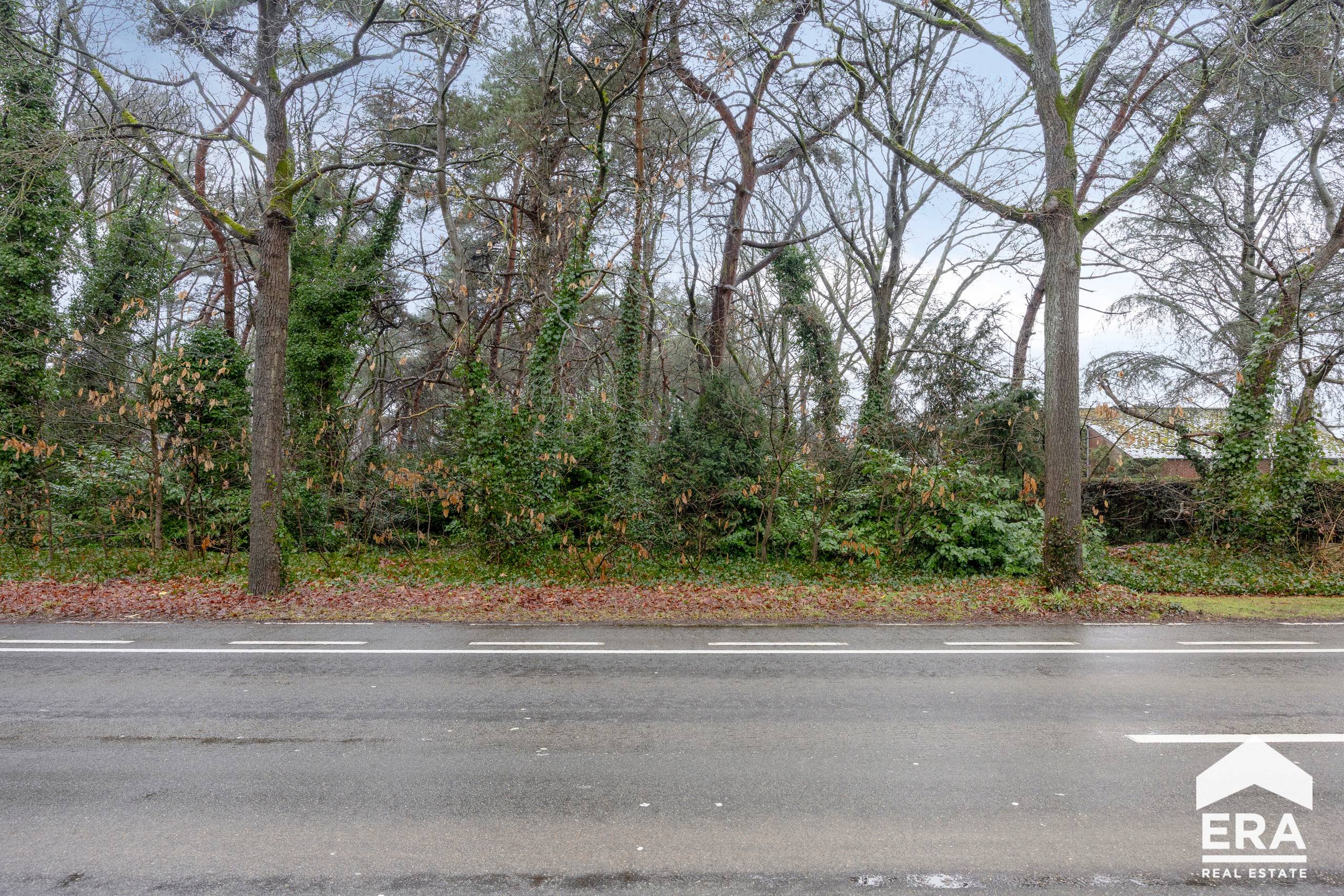 Prachtige bouwgrond (2500m²) te koop in Lommel - foto 5