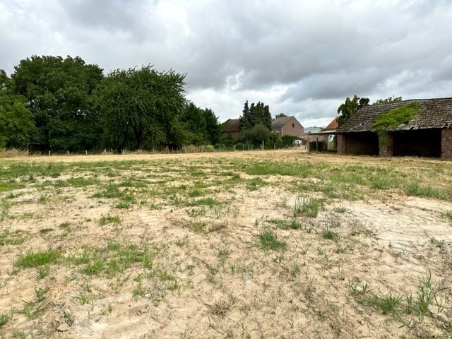 Terrain à vendre à Hoegaarden - photo 4