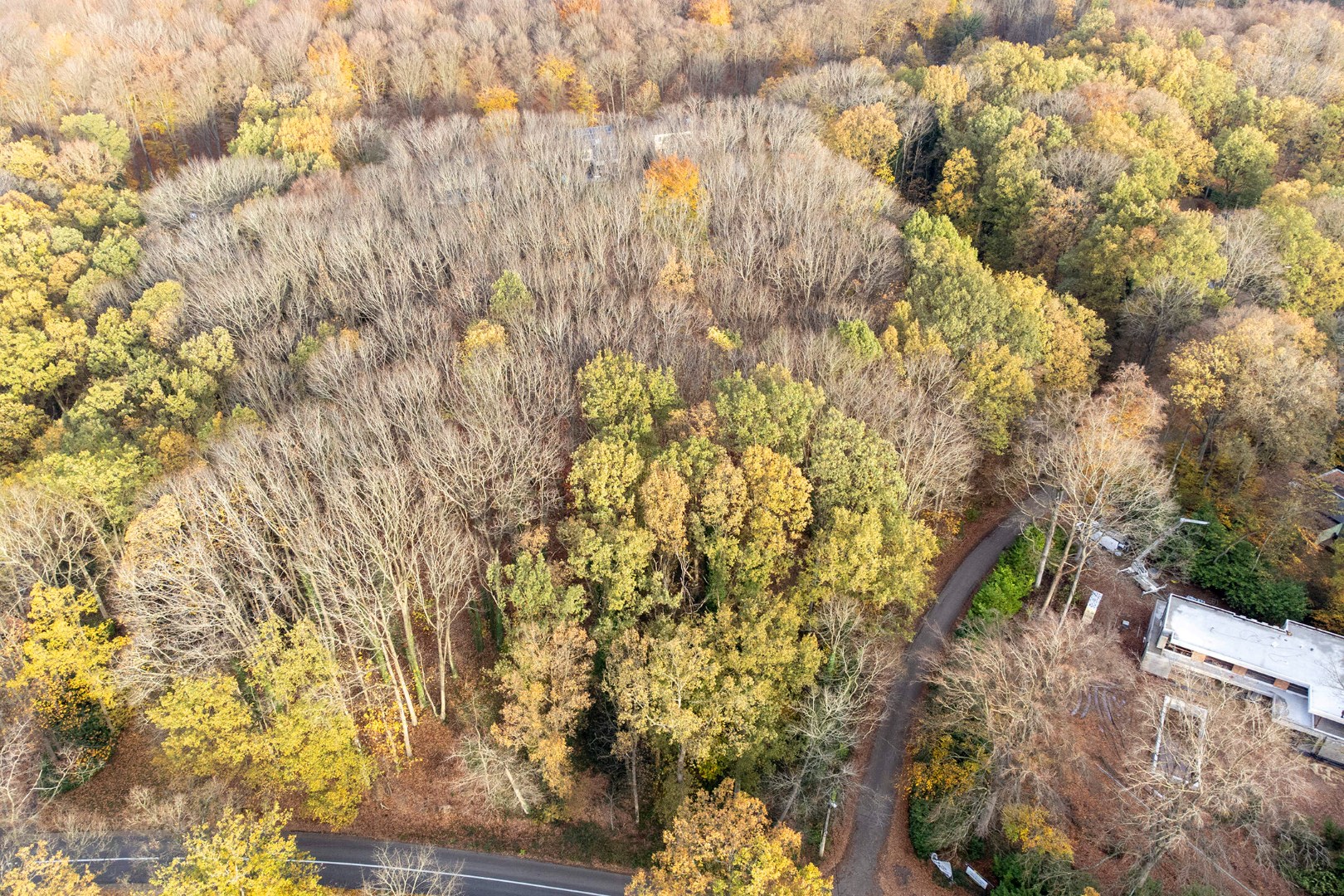 Prachtige bouwgrond van 22a 63ca te koop op een toplocatie in Hoog-Linden! - foto 2